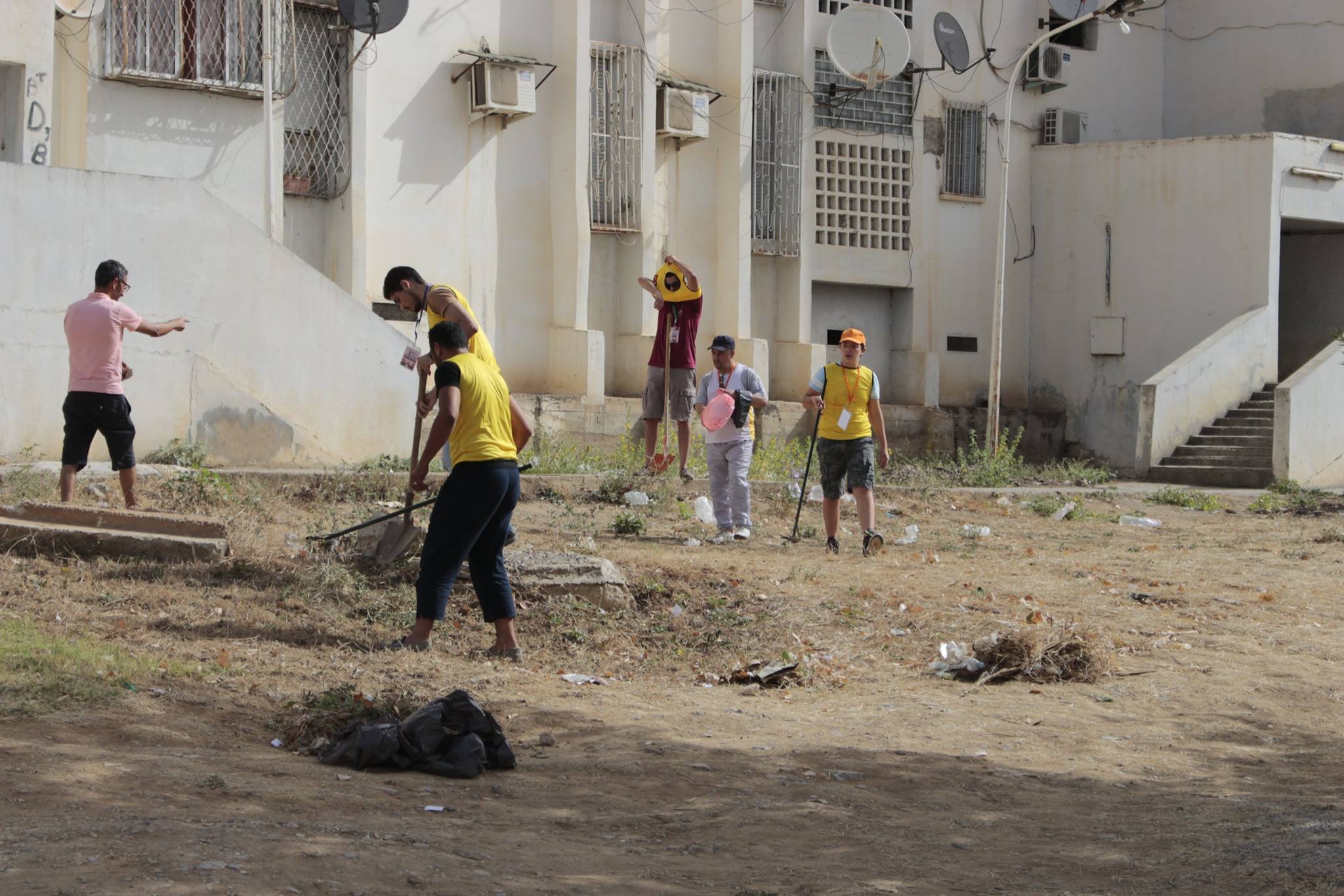 Les Zinzins de la Nature